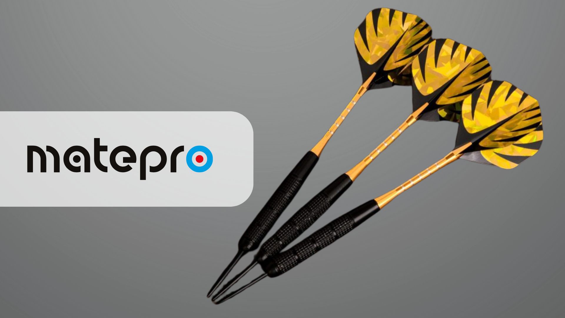 Na co zwrócić uwagę przy wyborze rzutek do darta